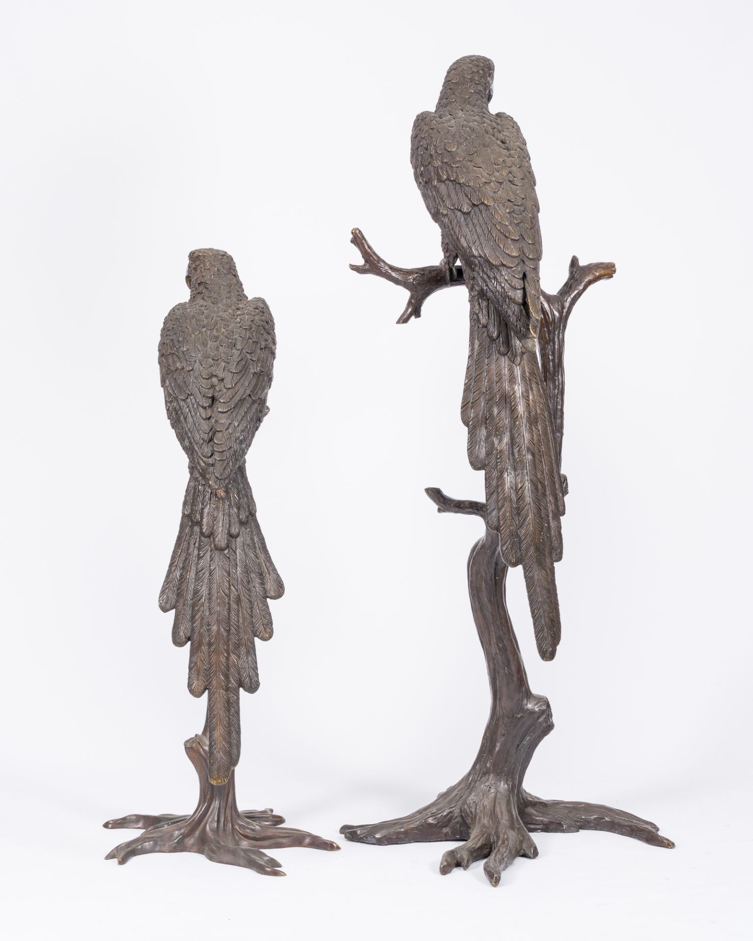 A pair of impressive brown patinated bronze models of an ara on a branch, 20th C. - Image 4 of 7