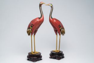 A pair of fine and large Chinese cloisonne models of cranes, 20th C.