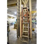 LOT/ A-FRAME & EXTENSION LADDERS