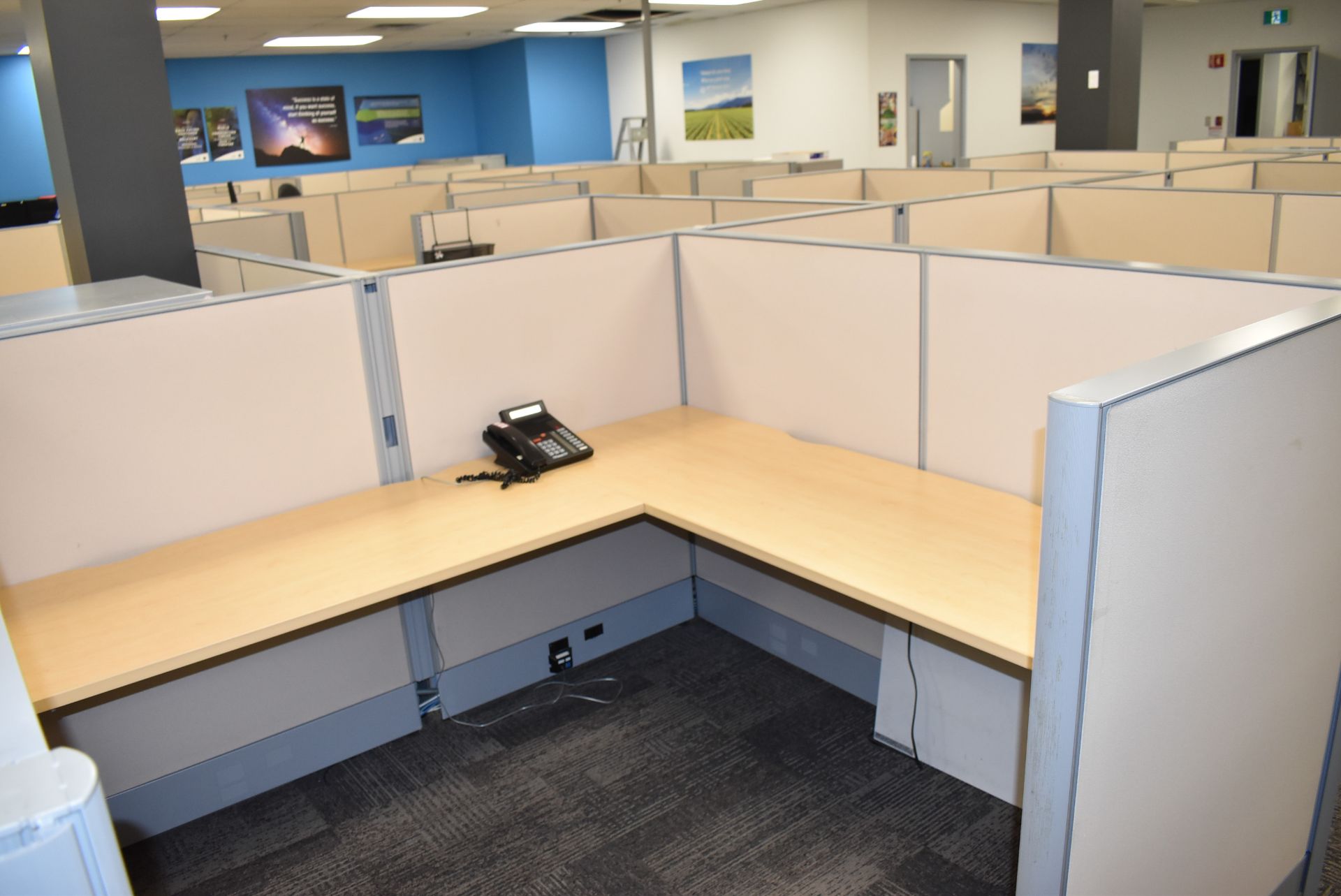 LOT/ (11) CUBICLE WORKSTATIONS WITH ASSOCIATED OFFICE CHAIRS & FILE CABINETS - Image 6 of 12