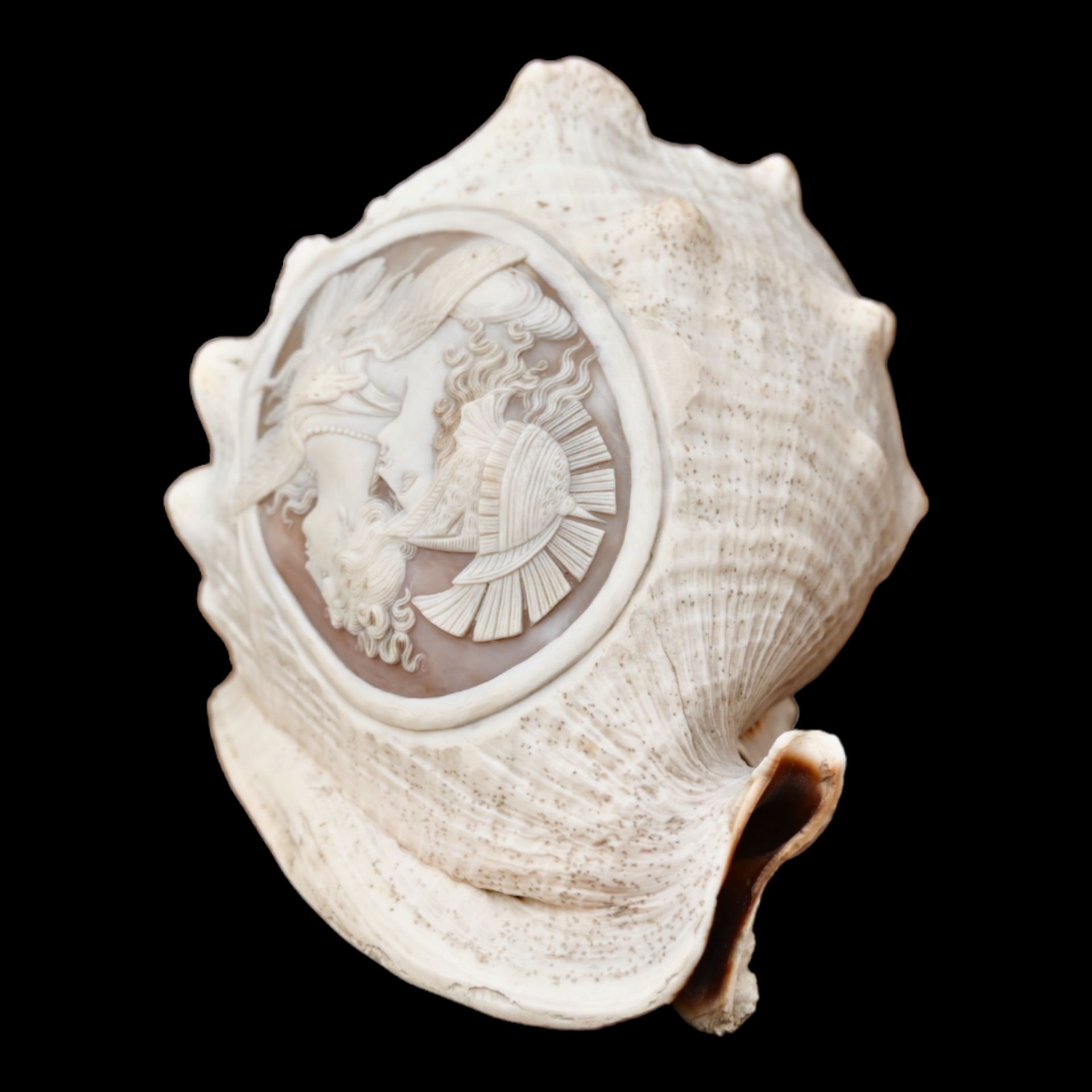 A RELIEF CARVED CAMEO CONCH SHELLA EARLY 19TH CENTURY - Image 9 of 11