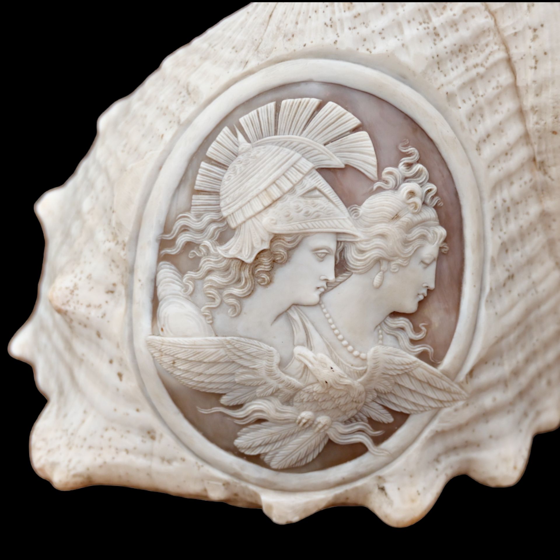 A RELIEF CARVED CAMEO CONCH SHELLA EARLY 19TH CENTURY - Image 4 of 11