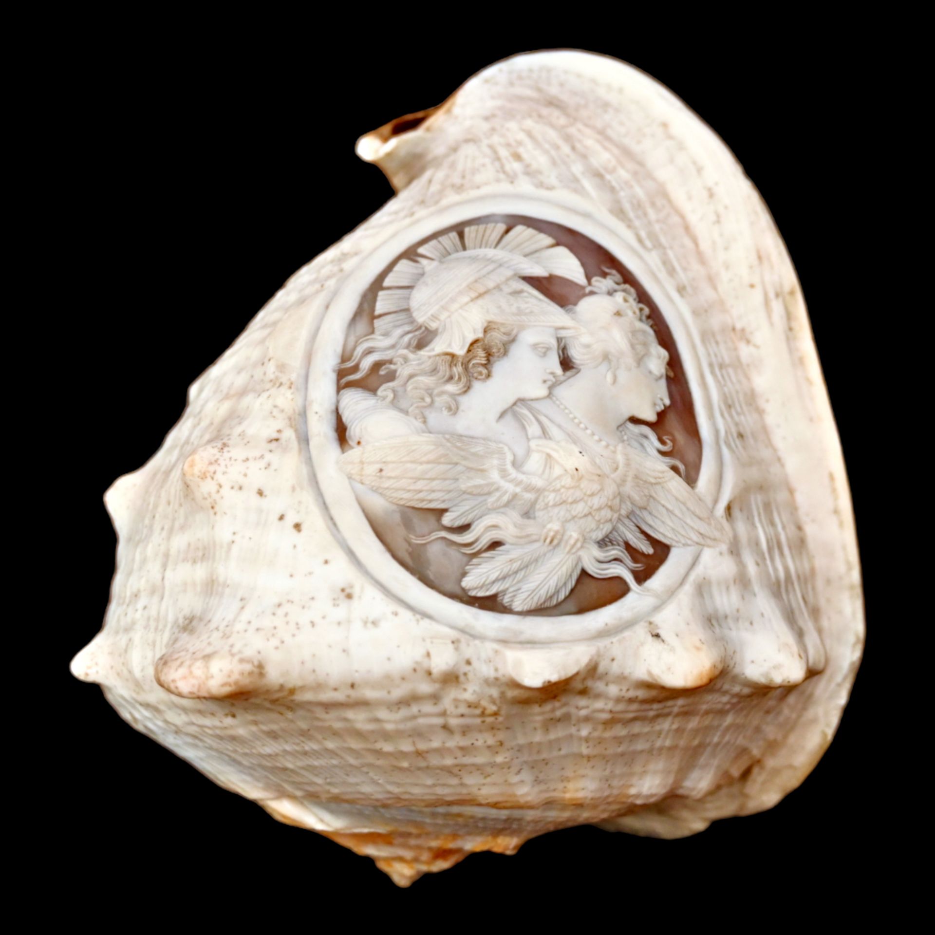 A RELIEF CARVED CAMEO CONCH SHELLA EARLY 19TH CENTURY - Image 3 of 11