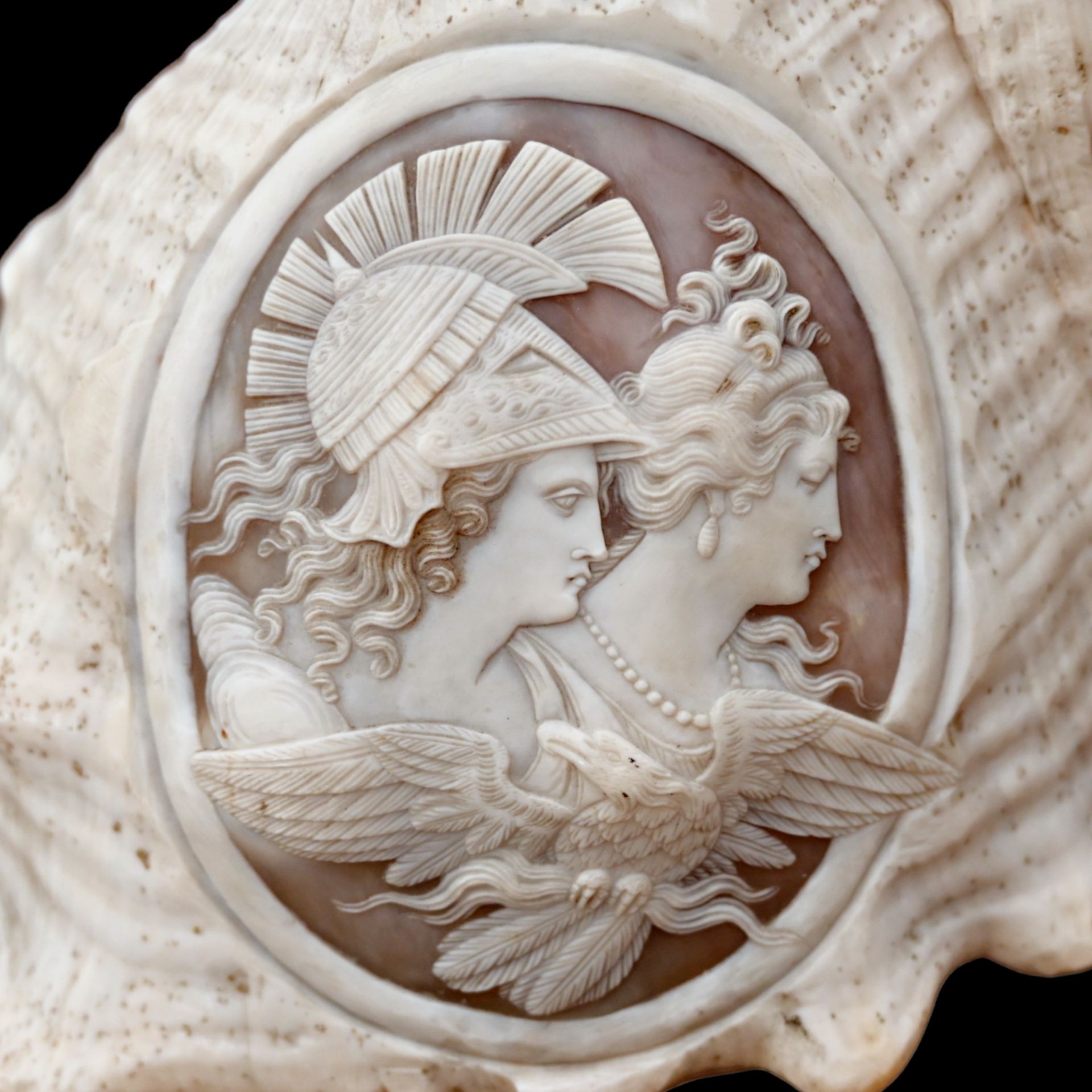 A RELIEF CARVED CAMEO CONCH SHELLA EARLY 19TH CENTURY - Image 2 of 11