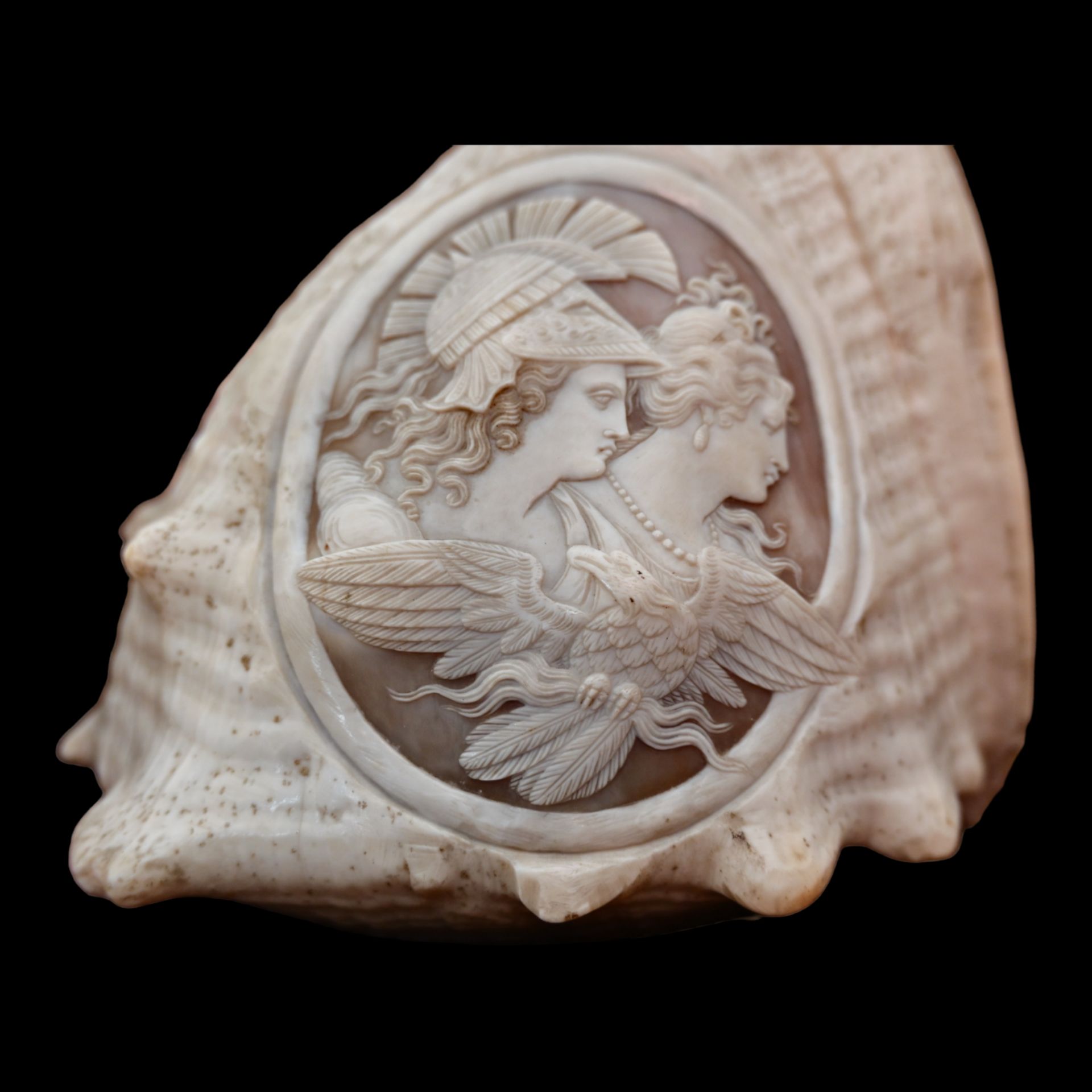 A RELIEF CARVED CAMEO CONCH SHELLA EARLY 19TH CENTURY - Image 11 of 11