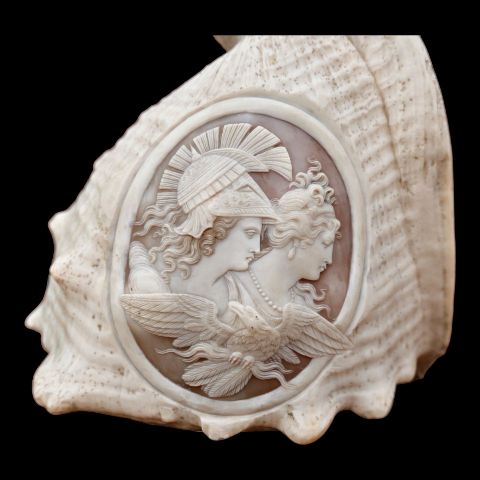 A RELIEF CARVED CAMEO CONCH SHELLA EARLY 19TH CENTURY - Image 10 of 11