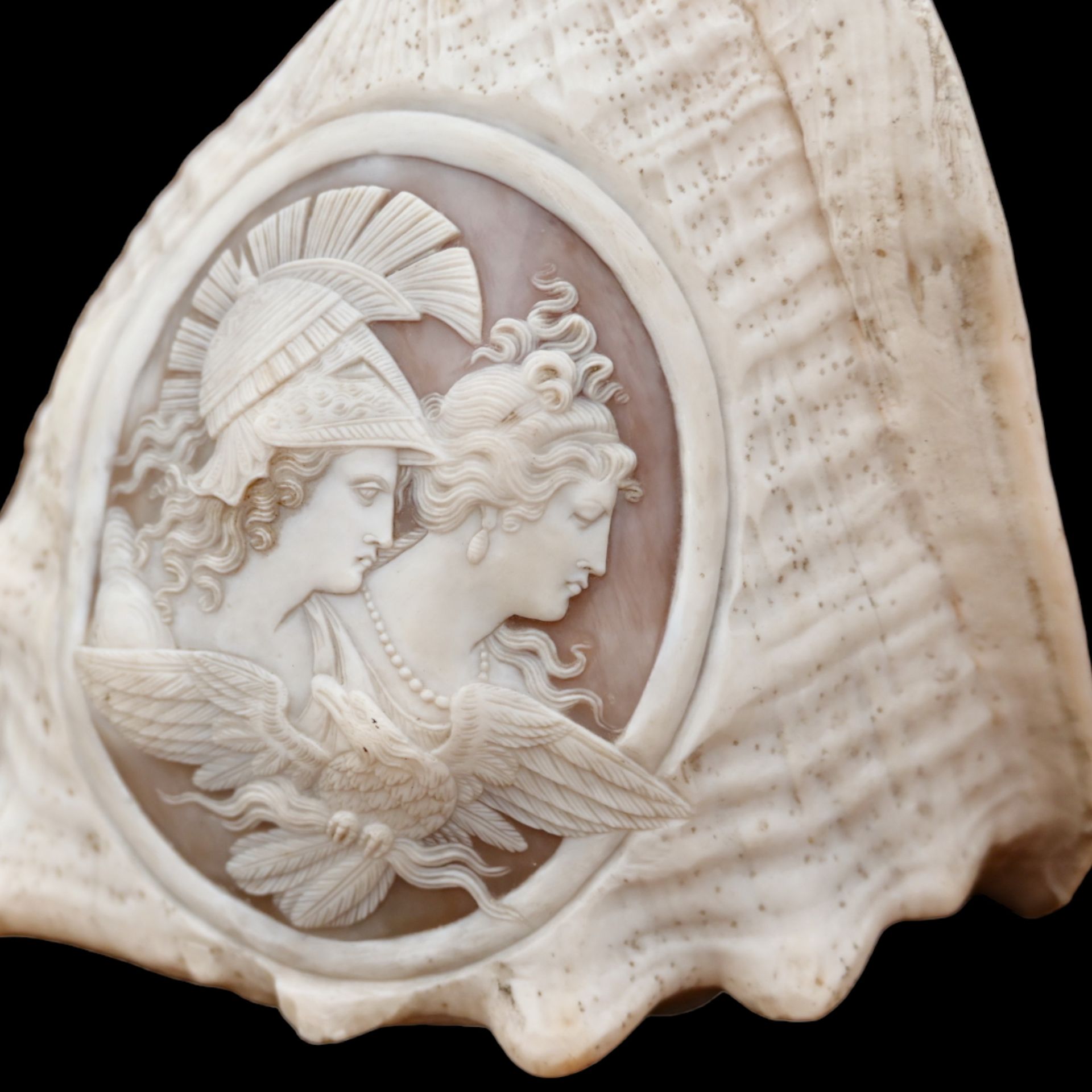 A RELIEF CARVED CAMEO CONCH SHELLA EARLY 19TH CENTURY - Image 6 of 11