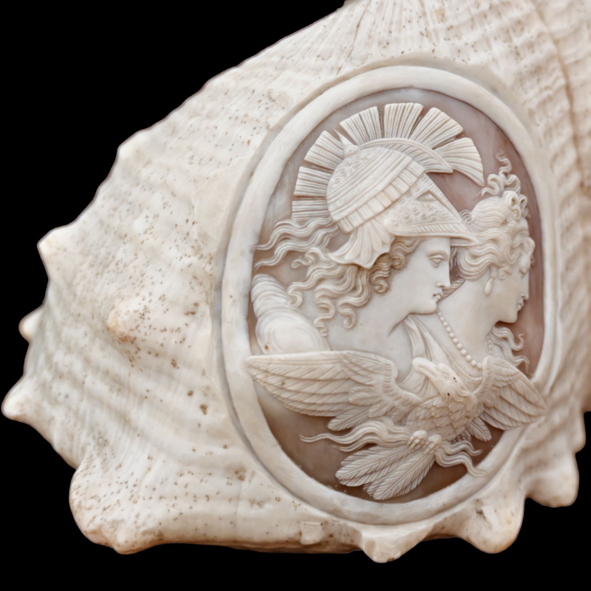 A RELIEF CARVED CAMEO CONCH SHELLA EARLY 19TH CENTURY - Image 5 of 11