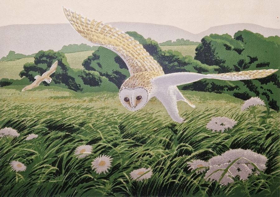 John Tennent (20th century school) Limited edition print  "Hunting Barn Owls", no.7/60, signed to
