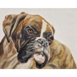 Thuline De Cock, (Belgian b.1970)  Oil painting Portrait of a boxer dog, signed lower left, 40.5cm x