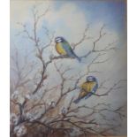 John Baxendale (1919-1982) Watercolour Pair of blue tits, signed lower left and dated 1951, 21.5cm x