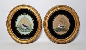 Pair of Chinese watercolours of exotic birds, each painted on a leaf and surrounded by foliage,