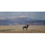 David Shepherd Colour print of a Wildebeest, signed in pencil in the margin by the artist and colour