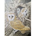 John Tennent (20th century school)  Limited edition print Barn owl and young, no.24/95, signed in
