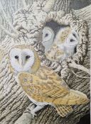 John Tennent (20th century school)  Limited edition print Barn owl and young, no.24/95, signed in
