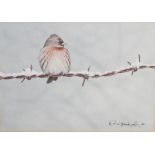 Neil Bradwell (20th century) Watercolour Common Redpoll on snowy barbed-wire, signed lower right and