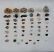 Various shells, corals, minerals, quartz, desert rose, bismuth, ammonite fossils, etc (3 boxes)
