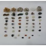 Various shells, corals, minerals, quartz, desert rose, bismuth, ammonite fossils, etc (3 boxes)