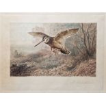 After Archibald Thorburn (British 1860-1935) Colour print "A Labour of Love" colour print, 27 x