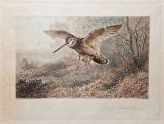 After Archibald Thorburn (British 1860-1935) Colour print "A Labour of Love" colour print, 27 x