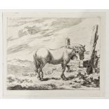 Claesberghem  Etching Horse at feeding trough  After Theodore van Kessel (1620-1693)  Set of six