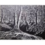 Peter Reddick (1924-2010) Woodcut  'Beeches', wood engraved image of a beech wood. limited edition