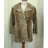 A vintage leopard skin coat labelled K. Borowski Johannesburg, CITES number 581257/01