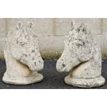 Pair stone sculpted horse's heads , 59cms h., the ears damaged,  but perfect for your gateposts!  (