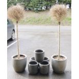 Five small grey painted resin garden planters and two large grey painted ceramic garden planter  (
