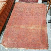 Eastern red ground rug with three rows of twelve elephant foot guls enclosed by geometric hooked