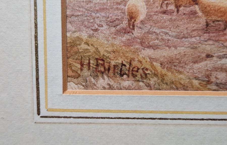 Henry Birtles (1838-1907)  Watercolour  "Upland Grazing", sheep grazing within rolling landscape, - Image 6 of 6