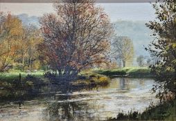Hugh Gurney (b.1932)  Oil on board "Autumn Gold in the Mole Valley", signed lower right and dated