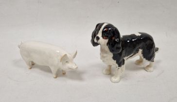 Beswick pottery pig 'Ch Wall Boy', standing four square enriched in a white glaze, marked in