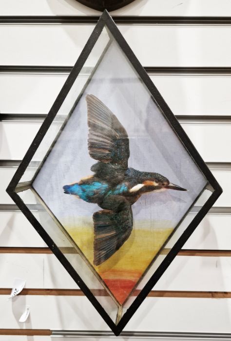 LOT WITHDRAWN Taxidermy common Kingfisher, mounted with wings outstretched as if in flight, housed