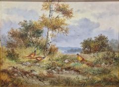 E Paela-Carig(?)  Oil on board Pheasants in highland landscape, signed indistinctly lower right,