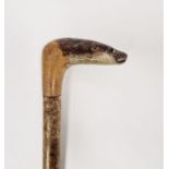 LOT WITHDRAWN Early 20th century walking cane, the handle carved into a depiction of otter's head,