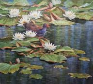 Neil Cox (British b.1955) Watercolour Moorhen amongst flowering lilypads, signed lower left, framed