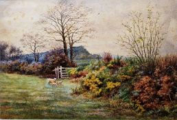 A W Henderson (20th Century British) watercolour Landscape with ewe and lambs near a gorse bank,