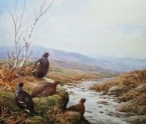 Neil Cox (British b.1955) Watercolour Black grouse and grouse in moorland beside stream, signed