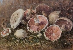 Emily Rose Stanton (1838-1908) Oil on canvas 'Study of mushrooms in foliage', signed and dated