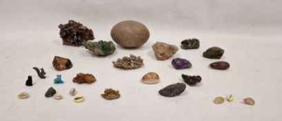 Quantity crystals, shells and an emu egg