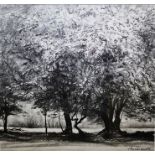 Ceri Auckland Davies (b.1951) Charcoal "May Hawthorn", signed lower right, framed and glazed, 37cm x