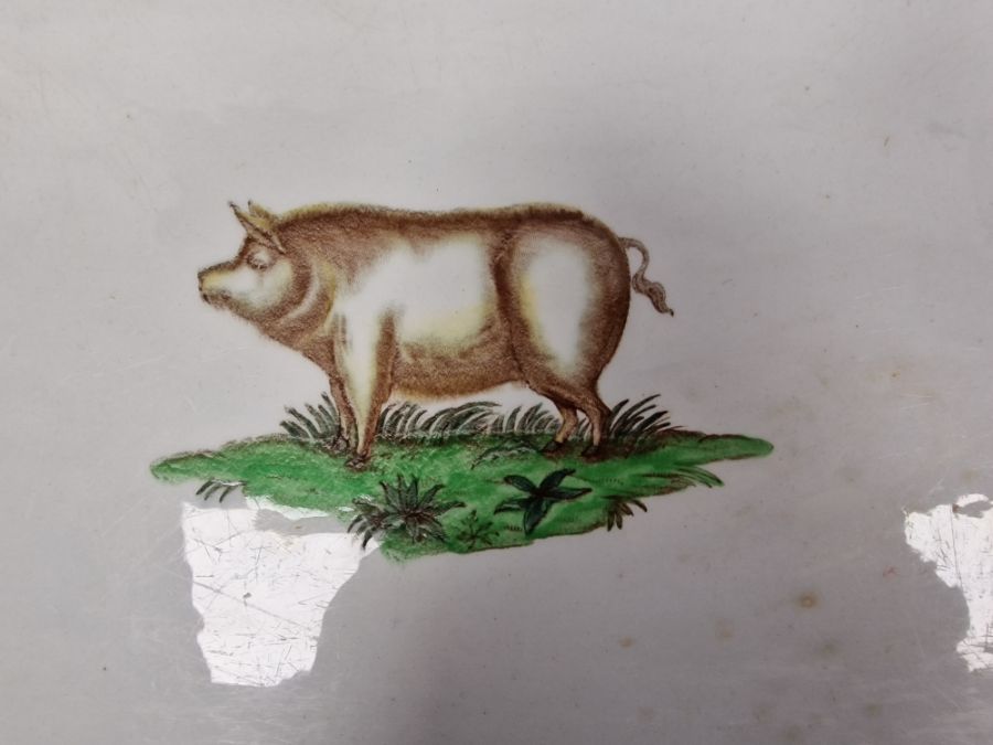 Parnall & Sons rectangular ceramic tray printed with a vignette of a pig, early 20th century, - Image 2 of 19
