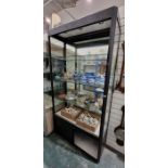 Large partially glazed display cabinet having three adjustable glass shelves, raised over a two-door