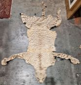 Cheetah skin rug with head, backed (with some loose parts and some claws missing, fangs intact,