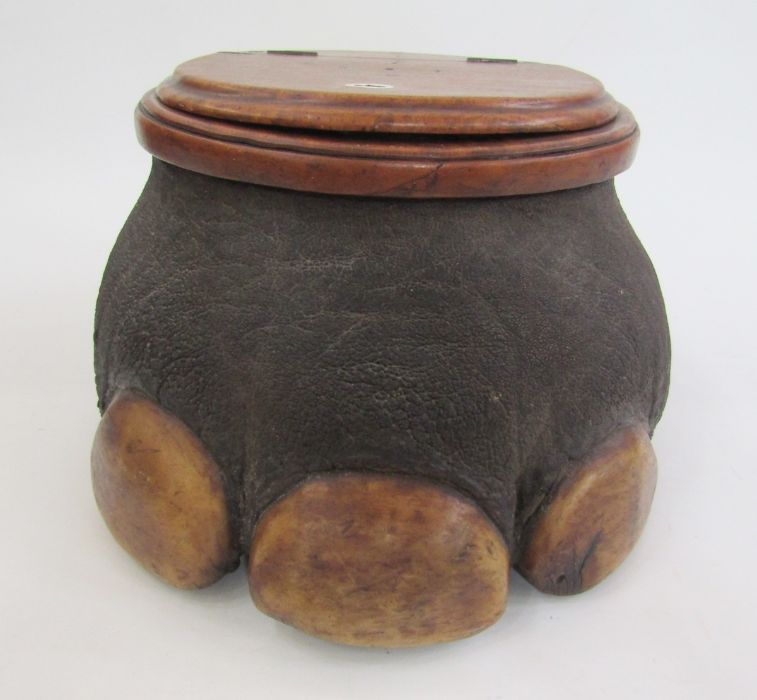 Late 19th/early 20th century taxidermy elephant foot storage container, the mahogany lid with