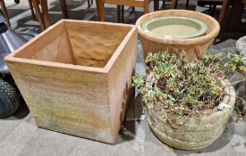 Large square terracotta planter ( 48cms cube), another large terracotta planter and further plant