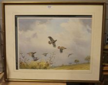 After G C Harrison  Limited edition print  Pheasants in flight, no. 208/300, published by Malcolm