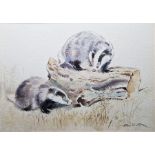 Eileen Alice Soper (1905-1990)  Watercolour on paper  Badgers in landscape, signed lower right,
