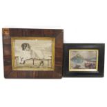 Victorian petitpoint tapestry picture of a dog on quayside, 25cm x 32cm in rosewood frame and a
